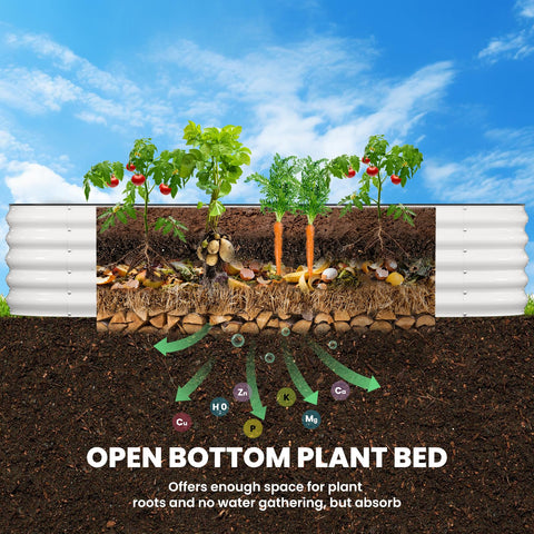Pattiumo bed in garden with thriving vegetables