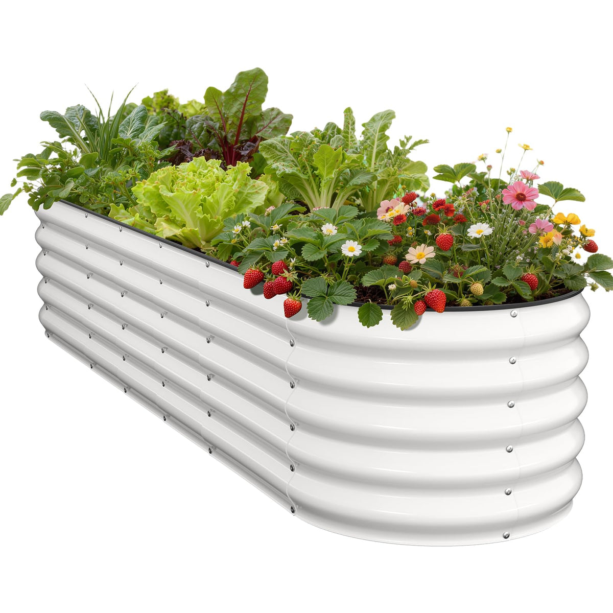 Pattiumo galvanized round bed top view, spacious planting area for vegetables