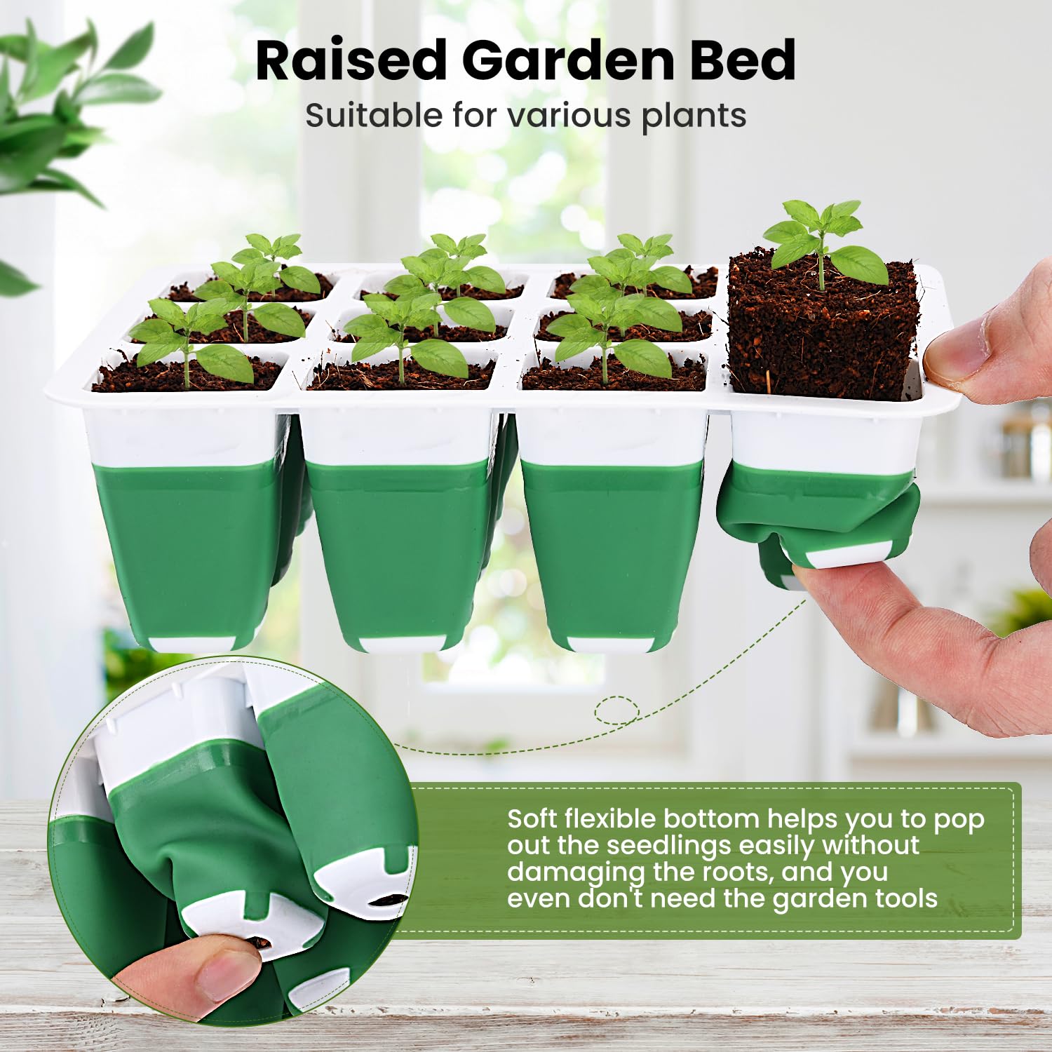 Pattiumo humidity dome offers clear visibility and stable moisture for seedlings.