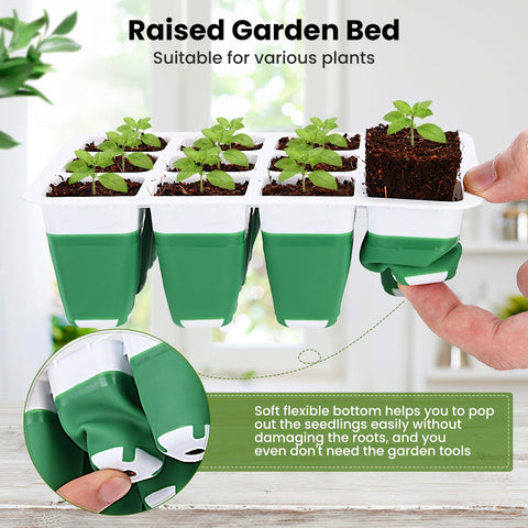 Pattiumo humidity dome offers clear visibility and stable moisture for seedlings.