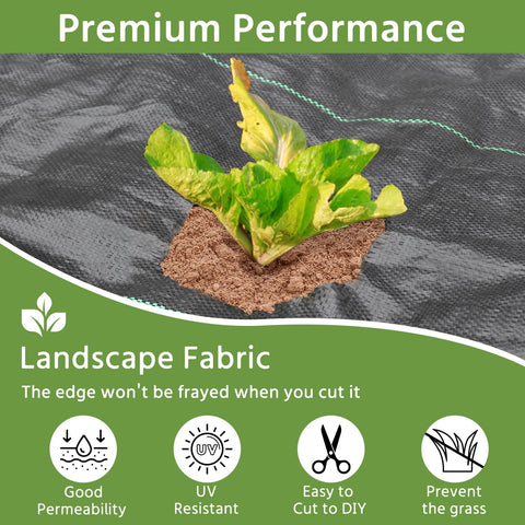 Pattiumo opaque weed barrier blocks sunlight to limit weed growth in beds.