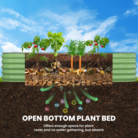 Pattiumo open bottom design enabling natural drainage and deeper root growth
