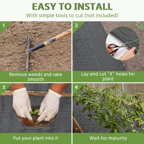 Pattiumo permeable ground cover allows air and water to reach plant roots.