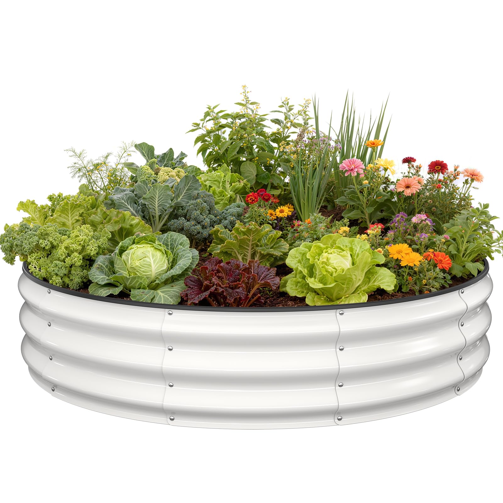 Pattiumo round raised bed viewed from above, ample planting space for vegetables and herbs.