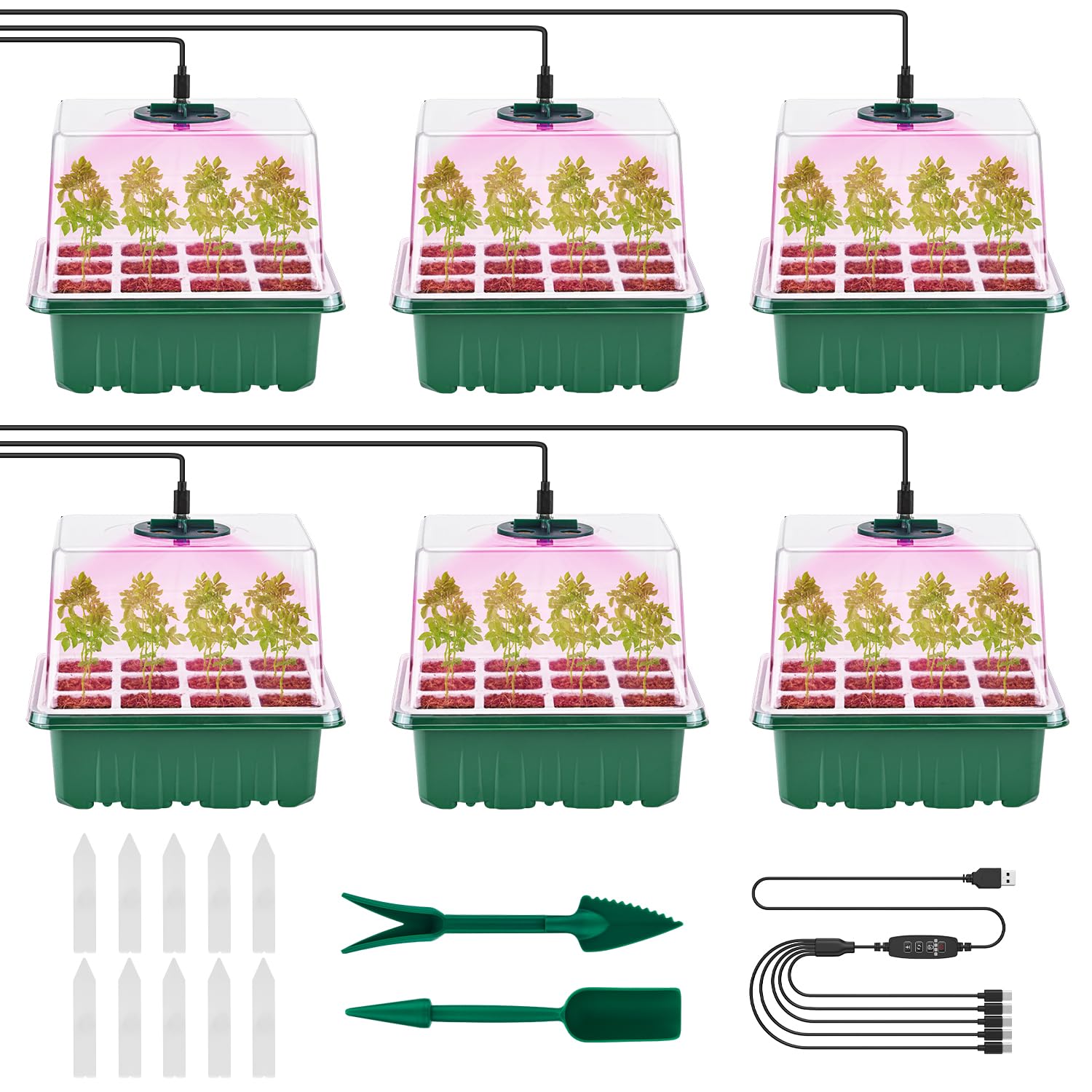 Pattiumo seed starter tray 6-pack with 6x12 silicone cells for organized germination.
