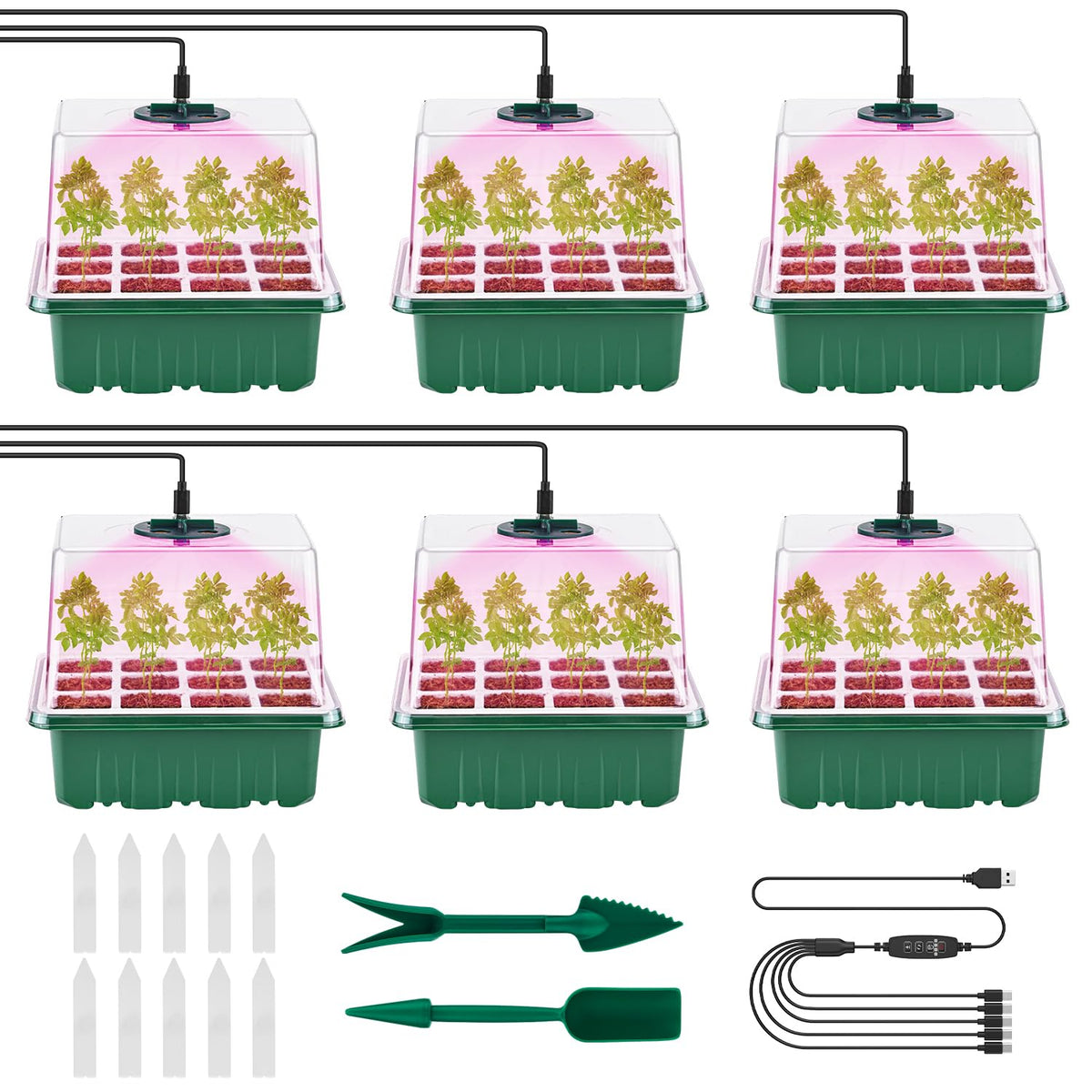 Pattiumo seed starter tray 6-pack with 6x12 silicone cells for organized germination.
