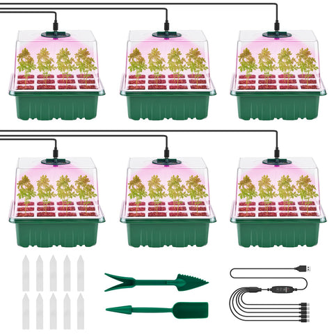 Pattiumo seed starter tray 6-pack with 6x12 silicone cells for organized germination.