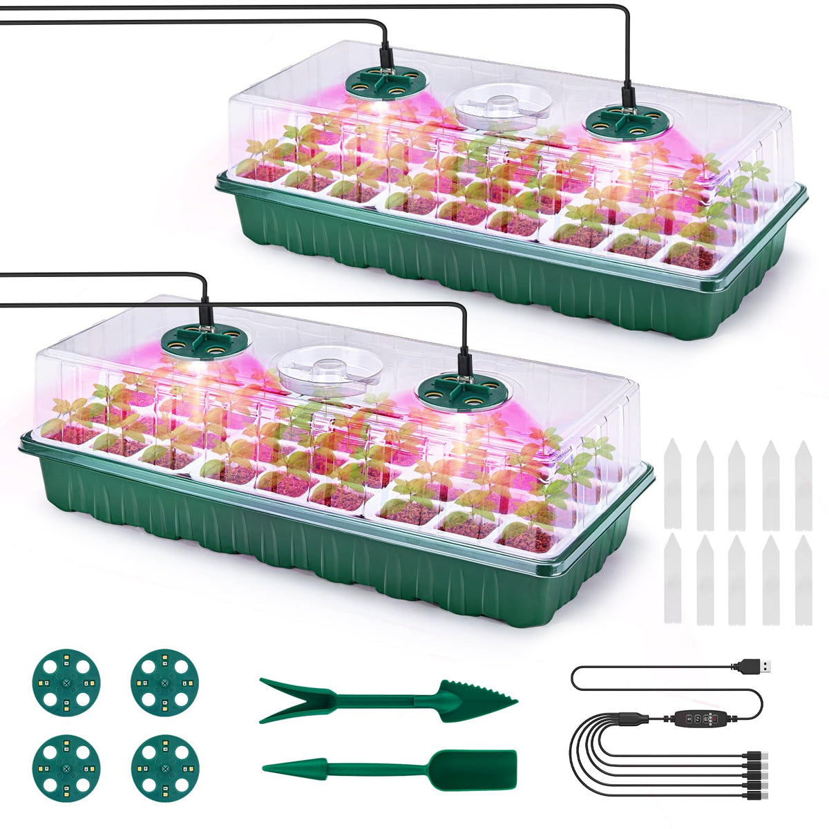 Pattiumo seed starter tray with 6x12 cells for easy indoor germination and reuse.