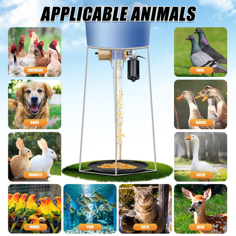PAUQRWIE coop scene demonstrates indoor and outdoor use with multiple pets