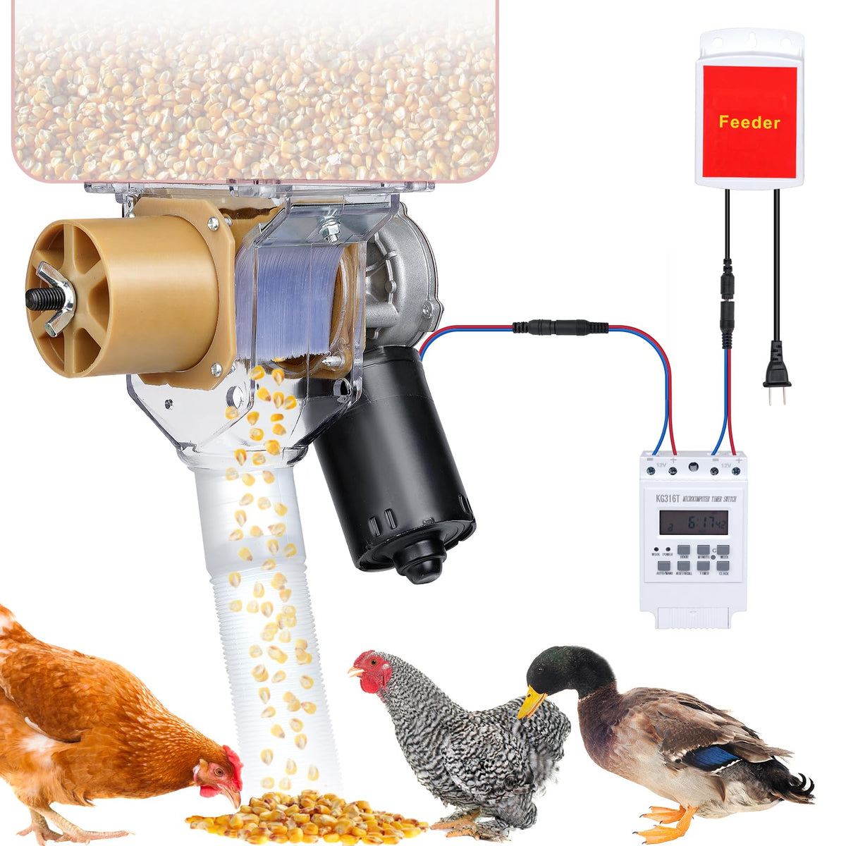 PAUQRWIE timed feeder outer shell view enables easy grain monitoring and quick refills