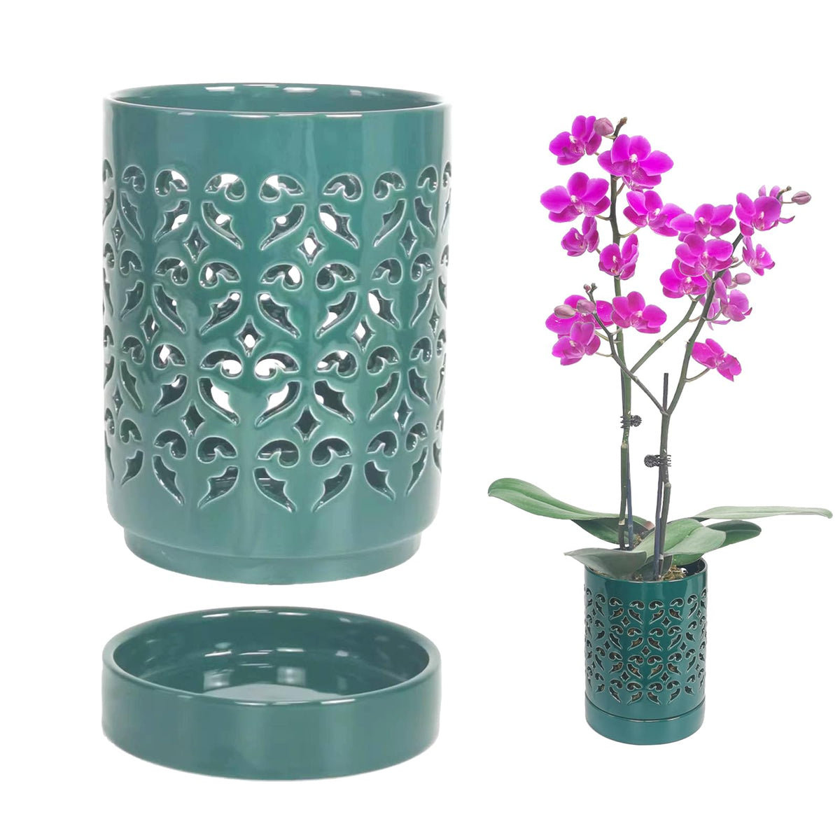 Pavtner ceramic orchid pot with holes promotes airflow for healthy roots
