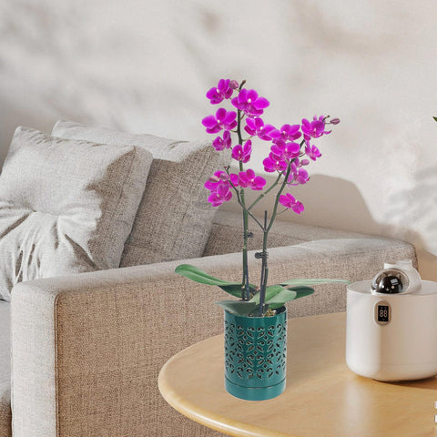 Pavtner orchid pot with attached saucer keeps surfaces clean
