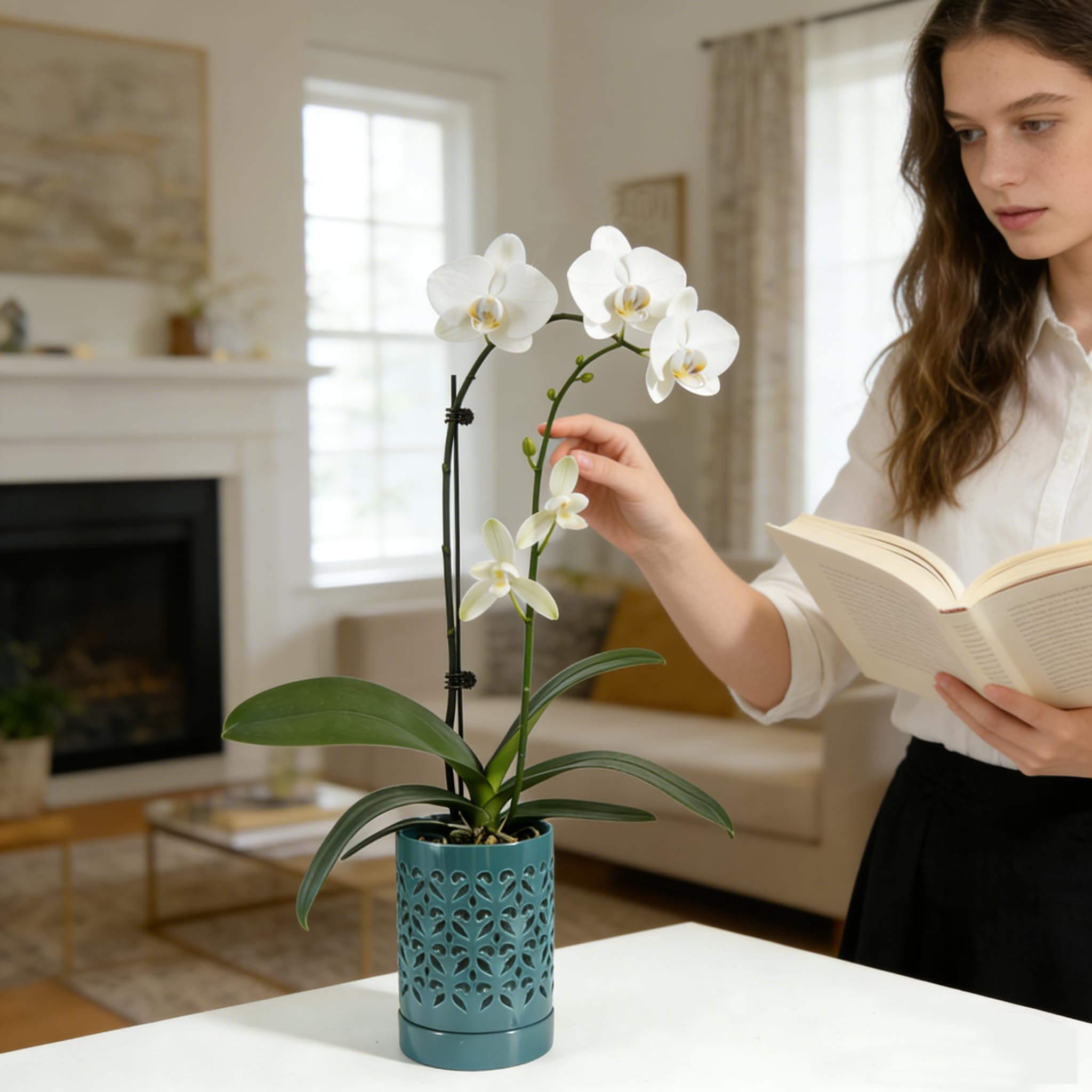 Pavtner ceramic orchid pot with straight cylinder design fits orchid arrangements