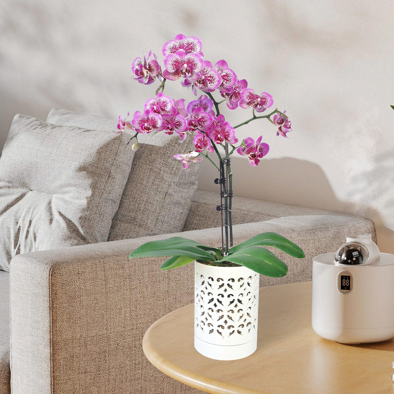 Pavtner hand glazed orchid pot emphasizes a minimalist indoor display.