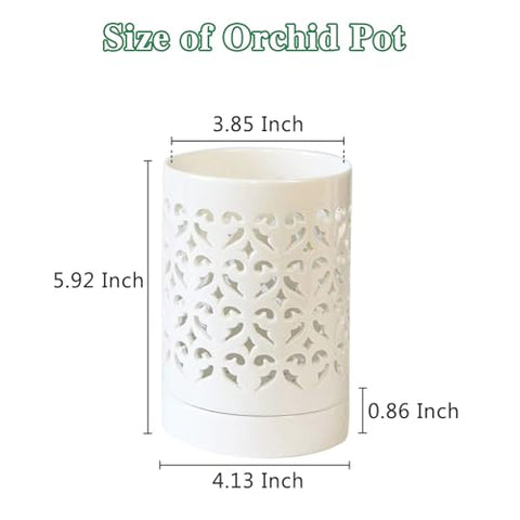 Pavtner white orchid planter suitable for indoors and outdoors.