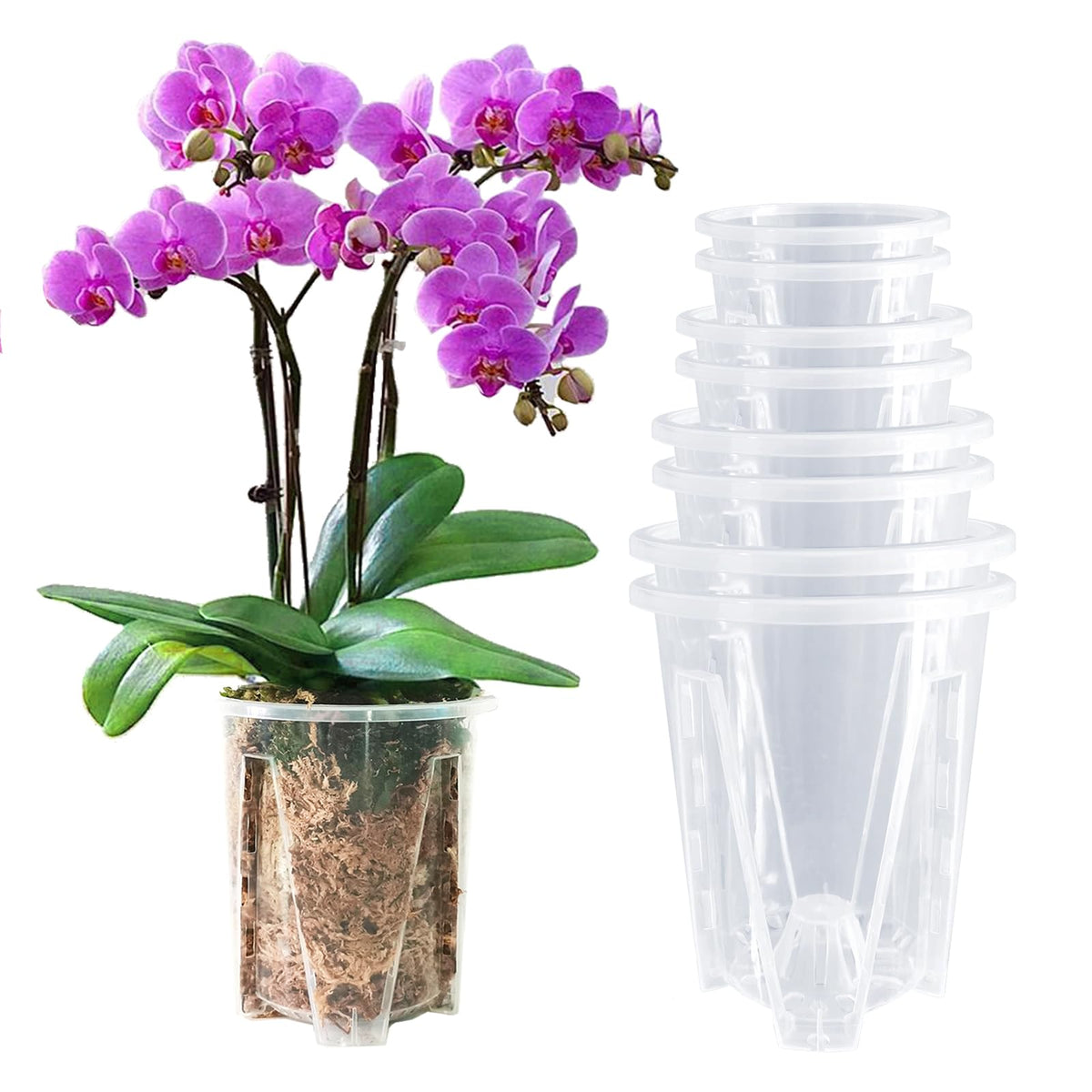 Pavtner orchid pot 3-9 inch clear with holes, promotes healthy root airflow.
