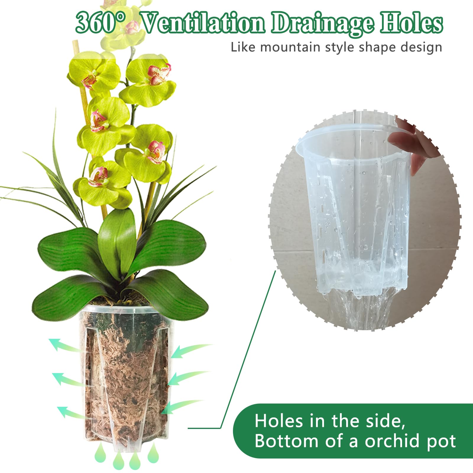 Pavtner orchid pot 5-5 inch clear with holes, supports drainage and air circulation.