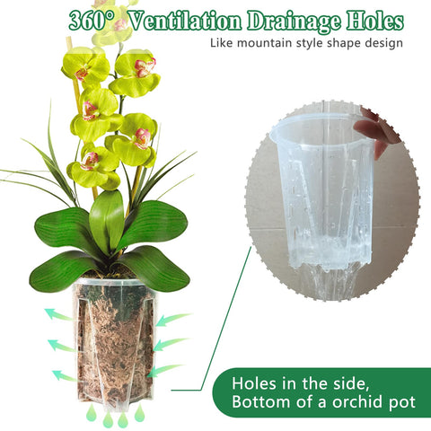 Pavtner orchid pot 5-5 inch clear with holes, supports drainage and air circulation.