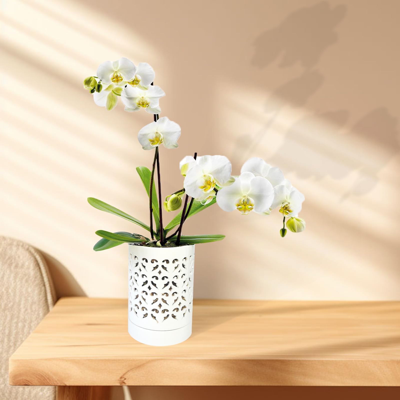 Pavtner orchid pot with drainage hole and attached saucer.