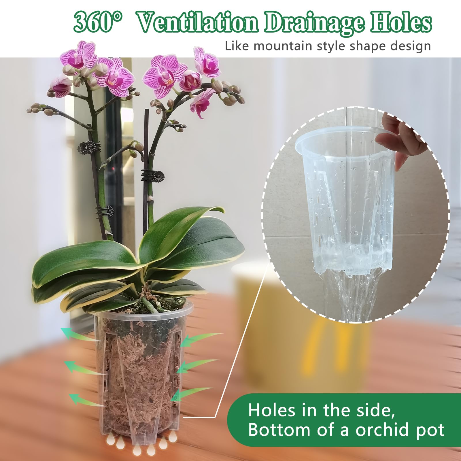 Pavtner orchid pot in clear, durable PP material