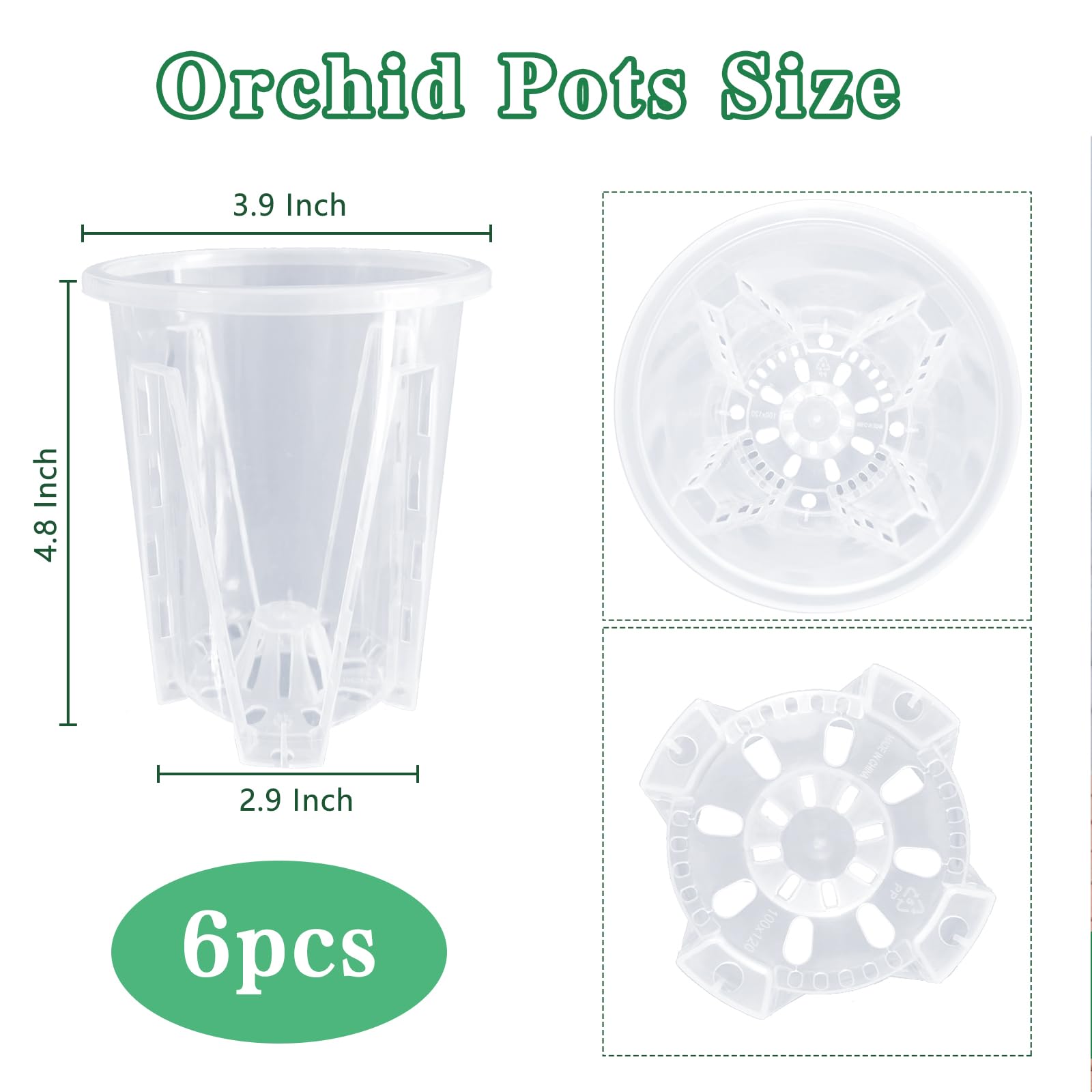 Pavtner orchid pot with drainage holes promoting airflow