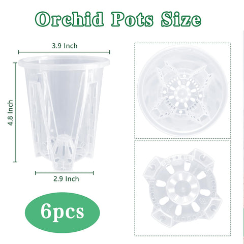 Pavtner orchid pot with drainage holes promoting airflow