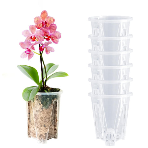 Pavtner orchid pot with top dimensions visible for easy fit