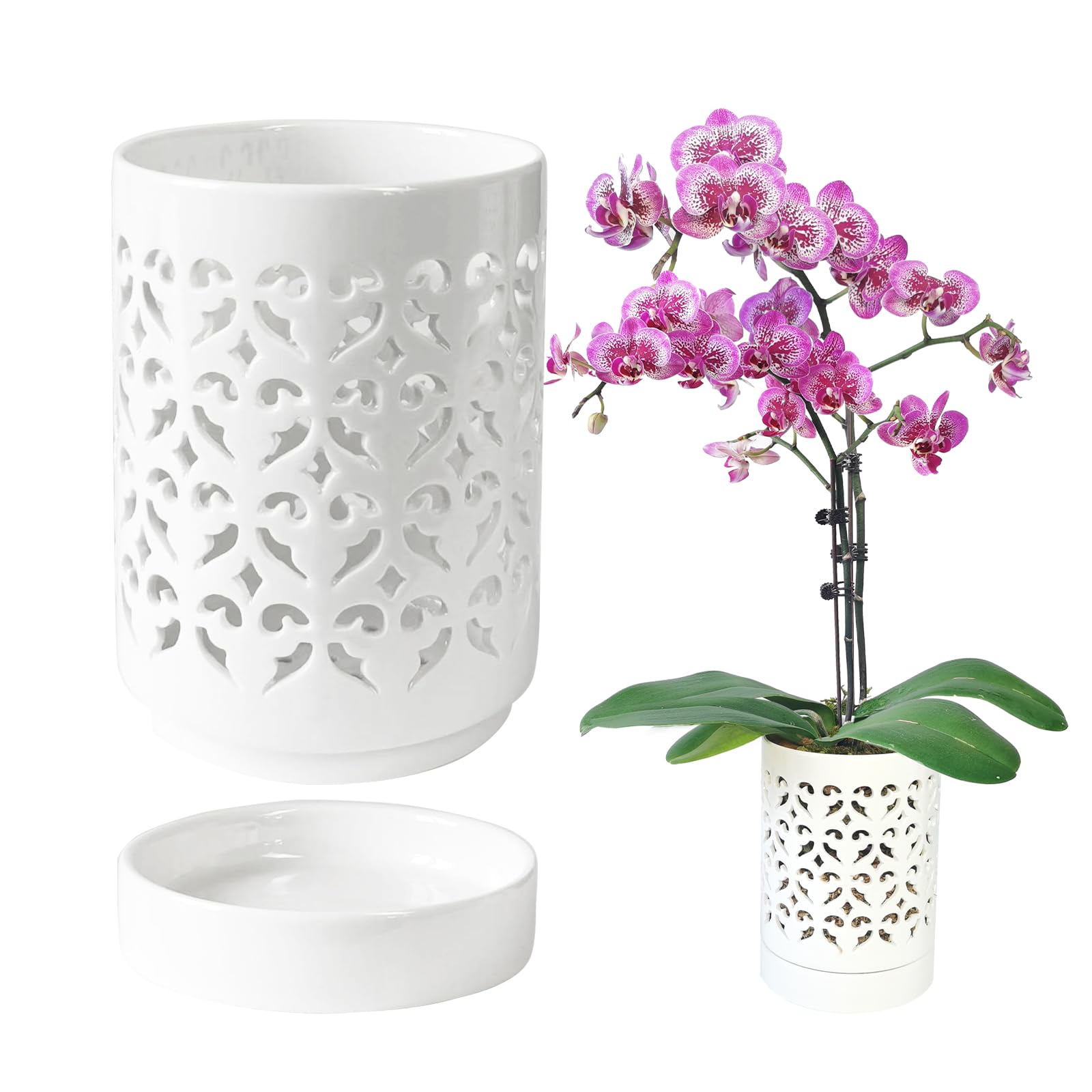 Pavtner Orchid Pots with Holes showcase air circulation for healthier roots.