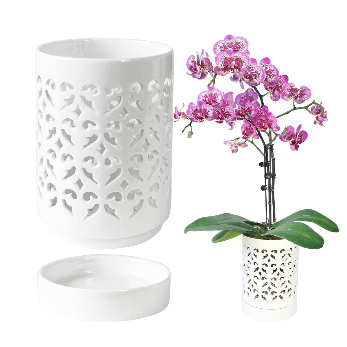 Pavtner Orchid Pots with Holes showcase air circulation for healthier roots.