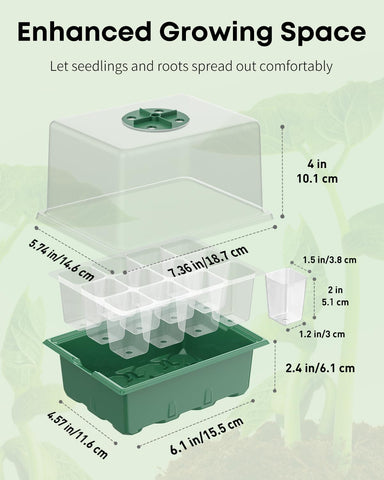 Pawfly humidity dome provides ample vertical space for robust seedling growth.