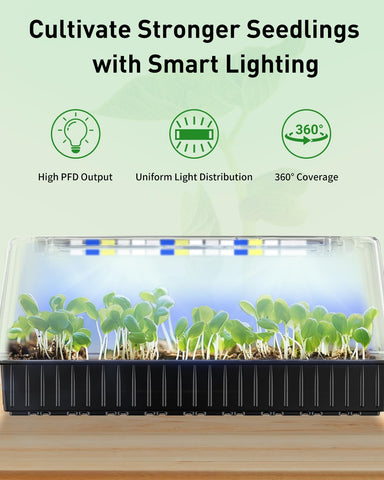 Pawfly indoor garden setup shown for easy seed starting