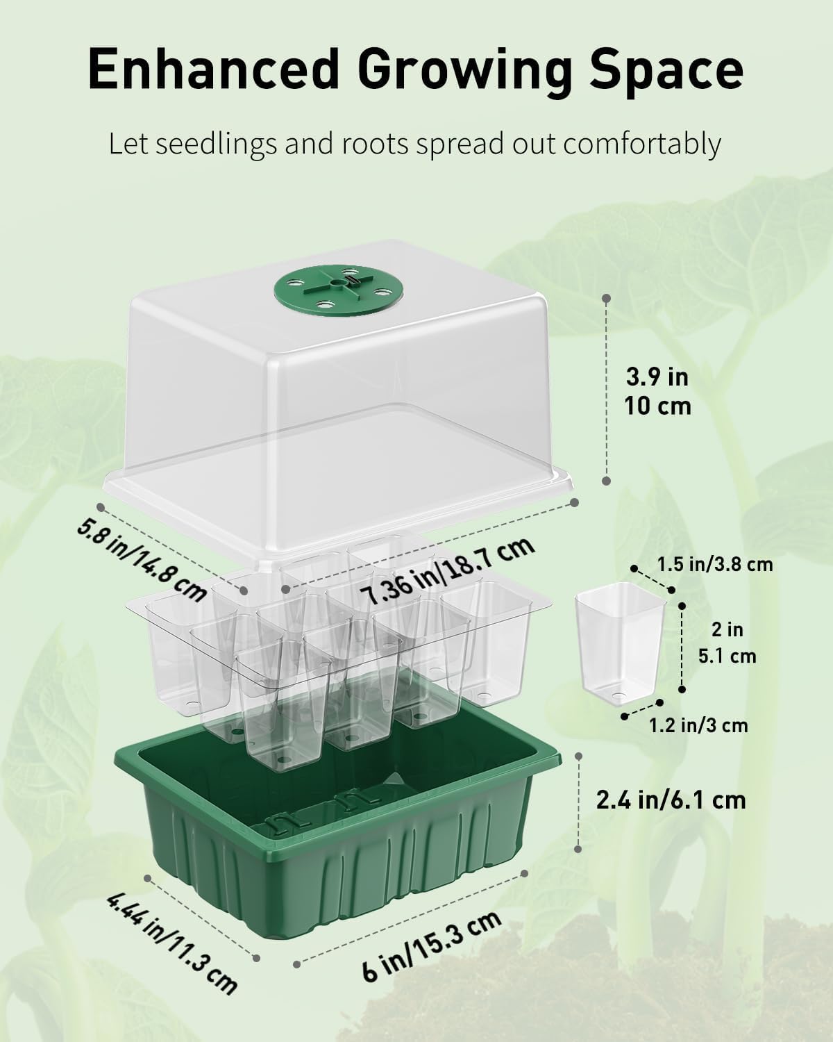 Pawfly indoor seedling care setup helps you nurture sprouts at home.