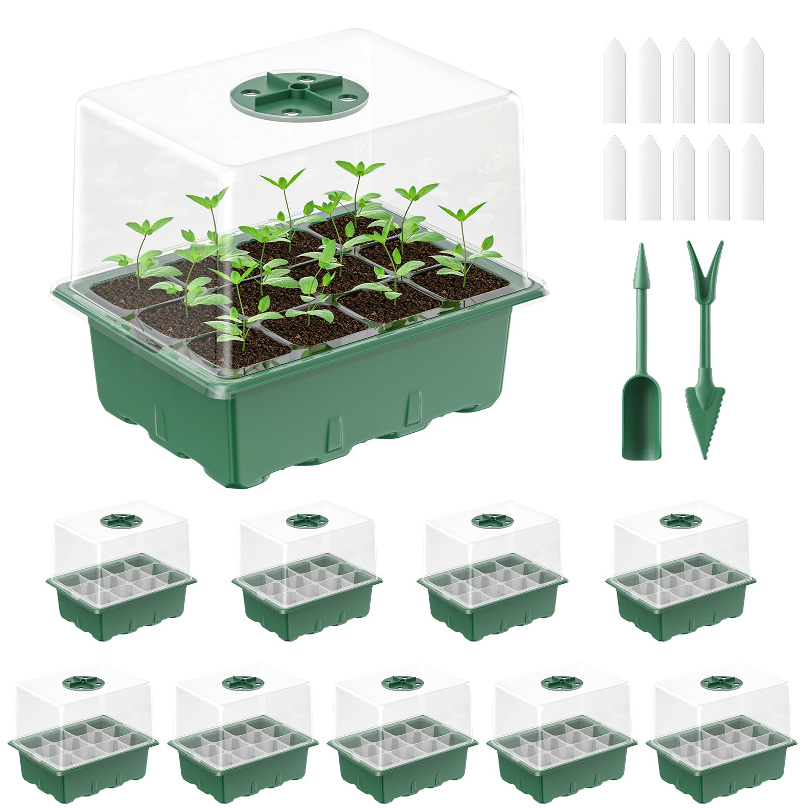 Pawfly seed starter trays setup showing 10 kits ready for indoor germination.