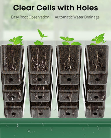 Pawfly drainage holes and drip tray prevent overwatering and root rot.