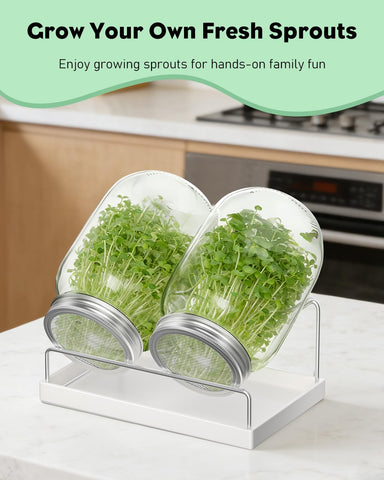 Pawfly Complete Sprouting Kit includes two jars and all accessories