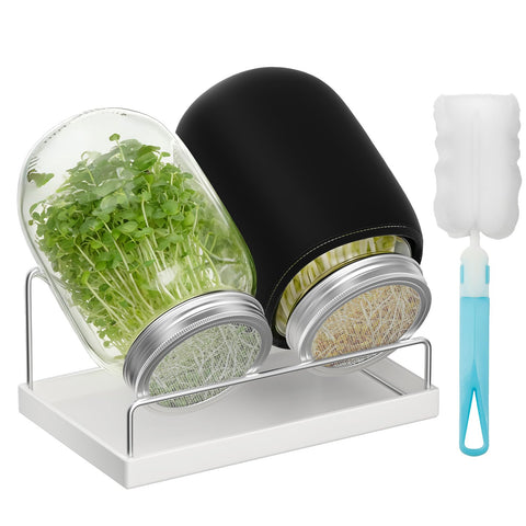 Pawfly Sprouting Kit with wide-mouth jars for easy home sprouting and harvest-ready sprouts