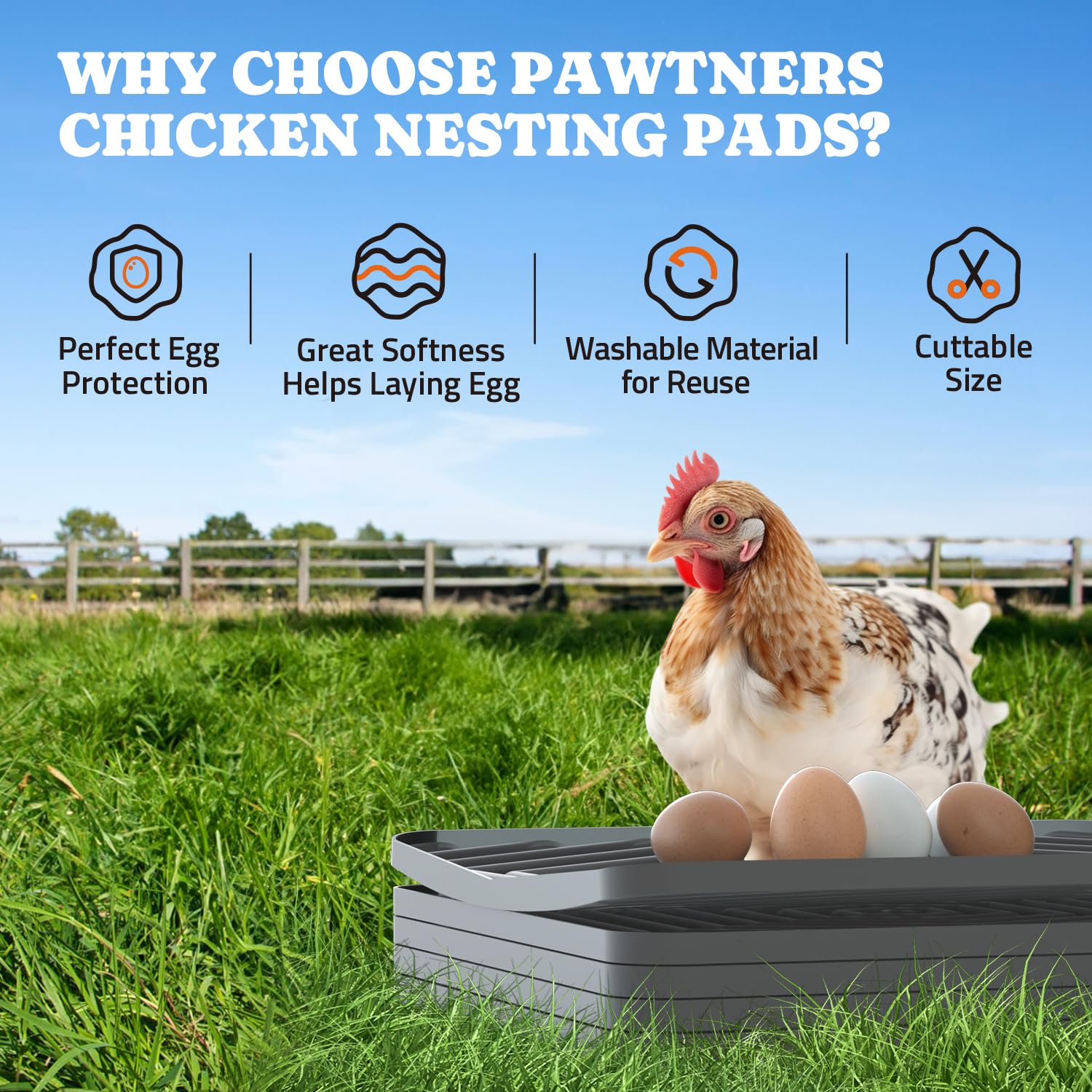 Pawtners durable nesting pad featuring protective ridges for long-lasting use.