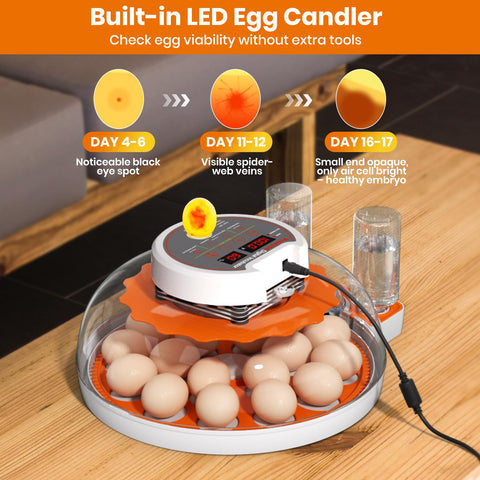 PAWZOO auto-turner rotates eggs every 120 minutes for even heat
