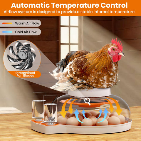 PAWZOO incubator with 360 degree view to monitor eggs without disturbance