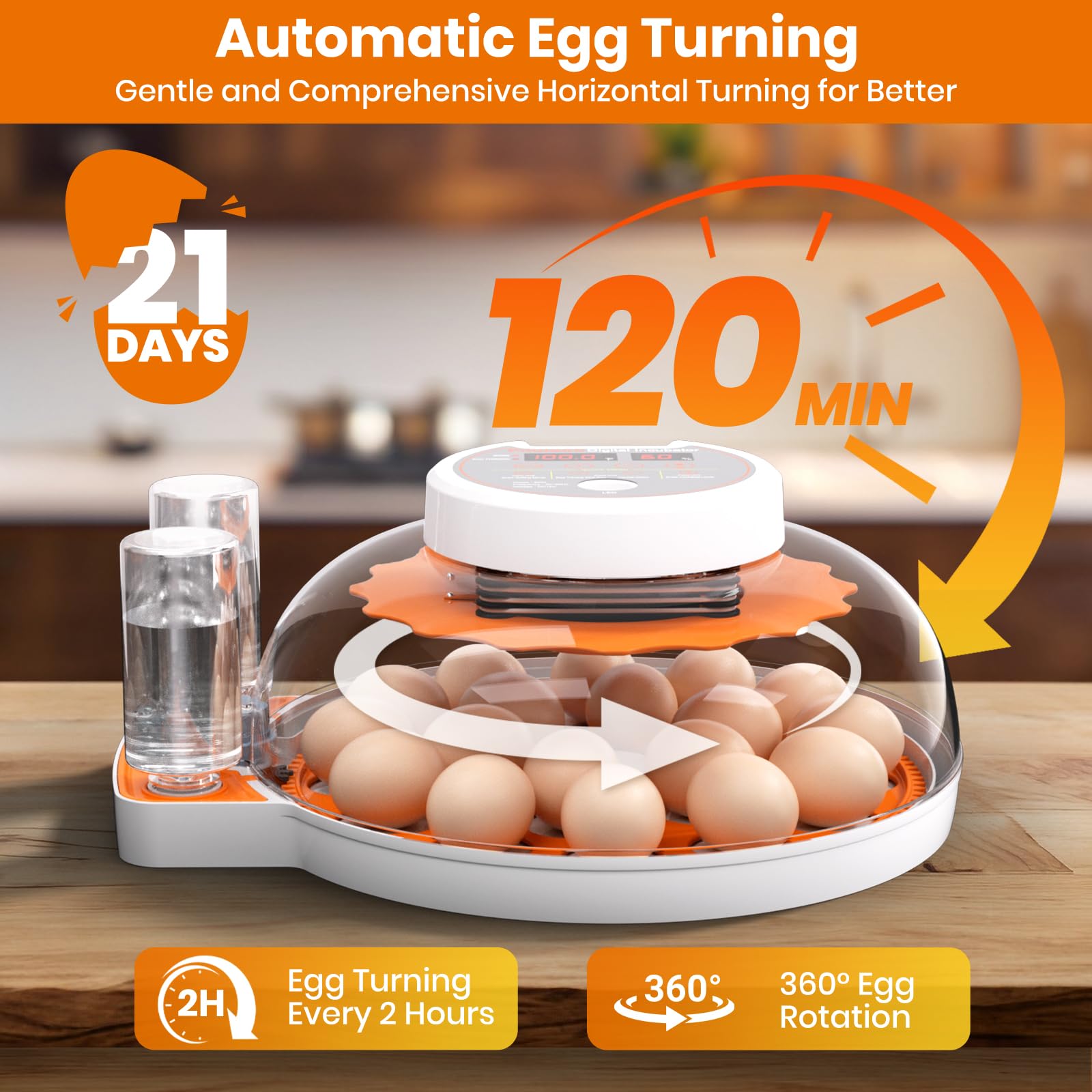 PAWZOO incubator LED display enables precise temperature and humidity control