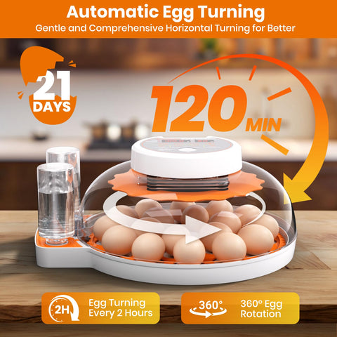 PAWZOO incubator LED display enables precise temperature and humidity control