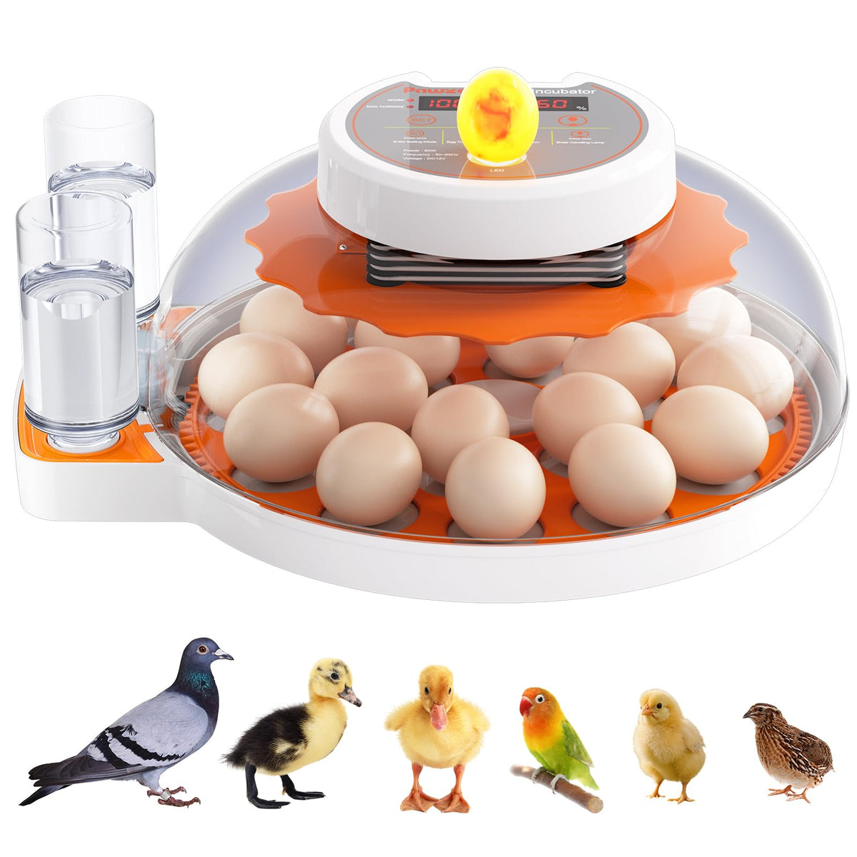 PAWZOO incubator showing 18 egg capacity on dual tray for home hatchers