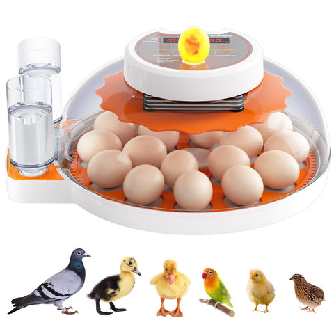 PAWZOO incubator showing 18 egg capacity on dual tray for home hatchers