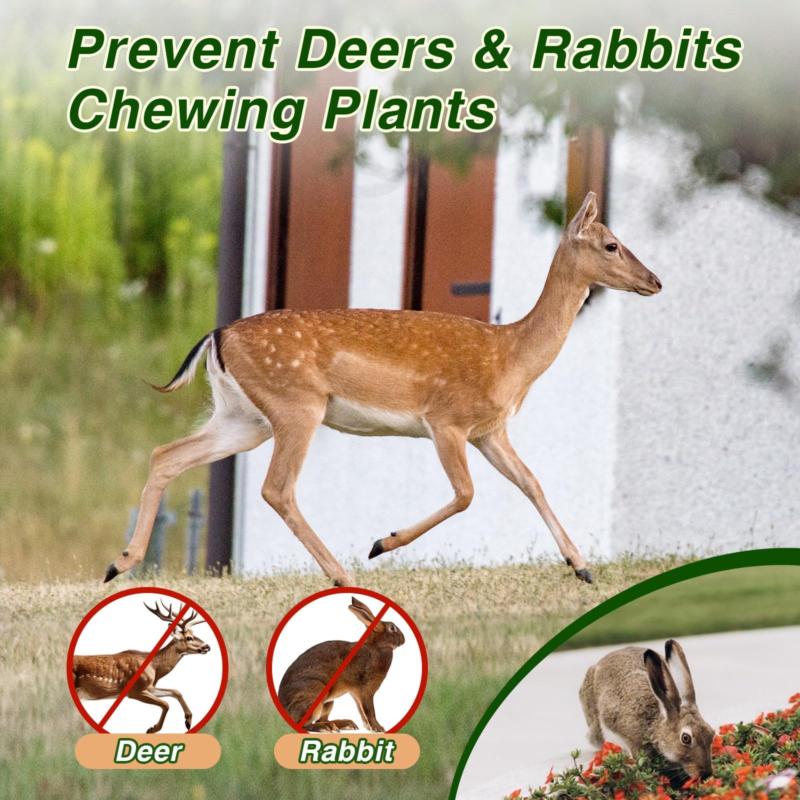 Pblovylu deer deterrent ball hanging in a garden deters pests safely.