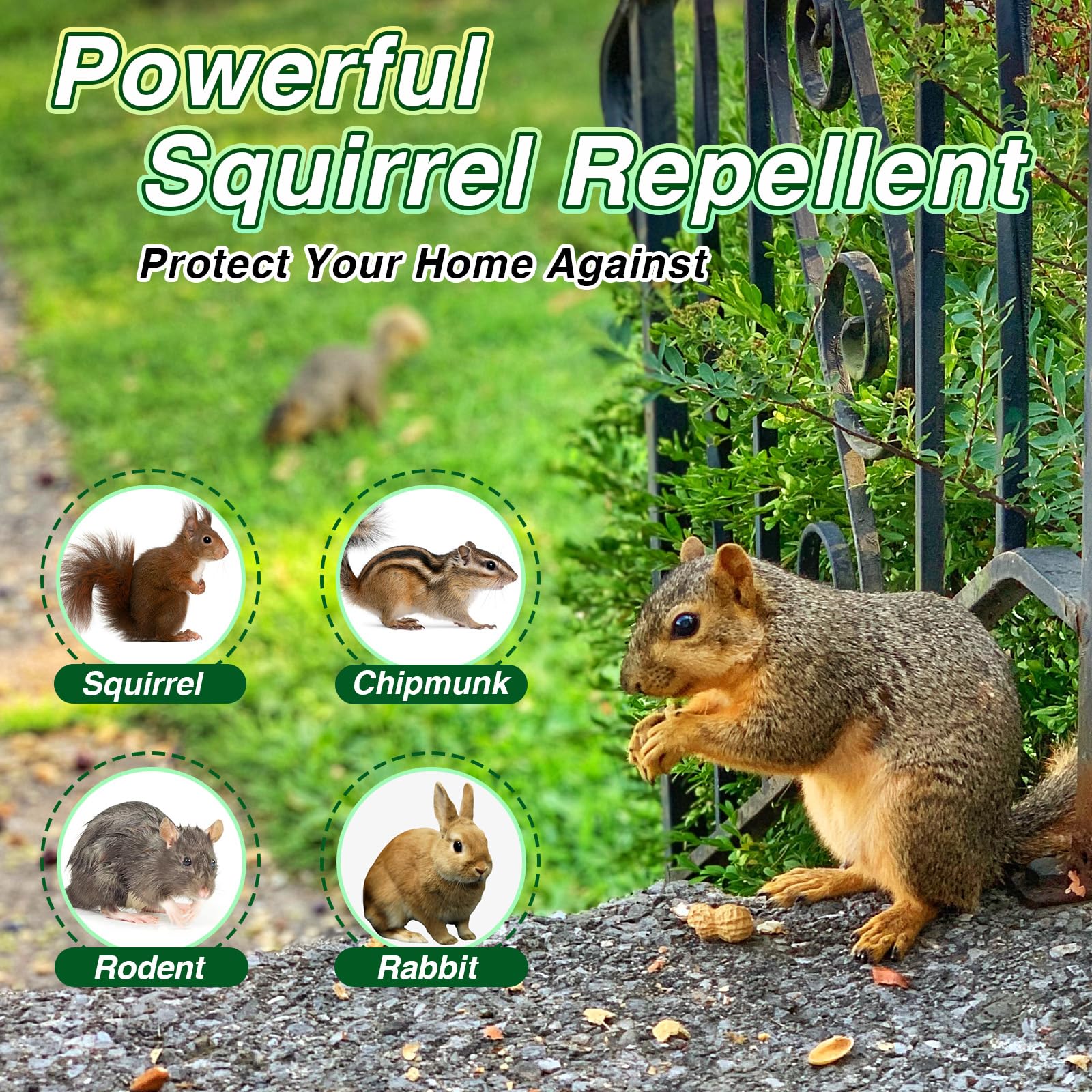 Pblovylu car-engine repellent ball safeguards wiring with humane deterrence.