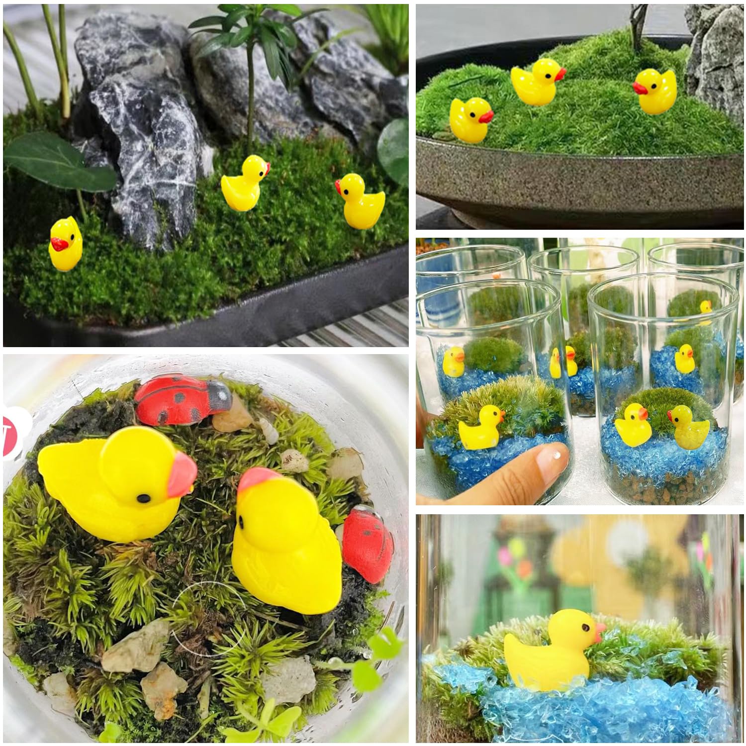 Pcxino mini ducks featured in a fairy garden moss landscape