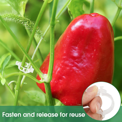 PEASUG climbing plant clips suitable for grapes, melons, and flowers.