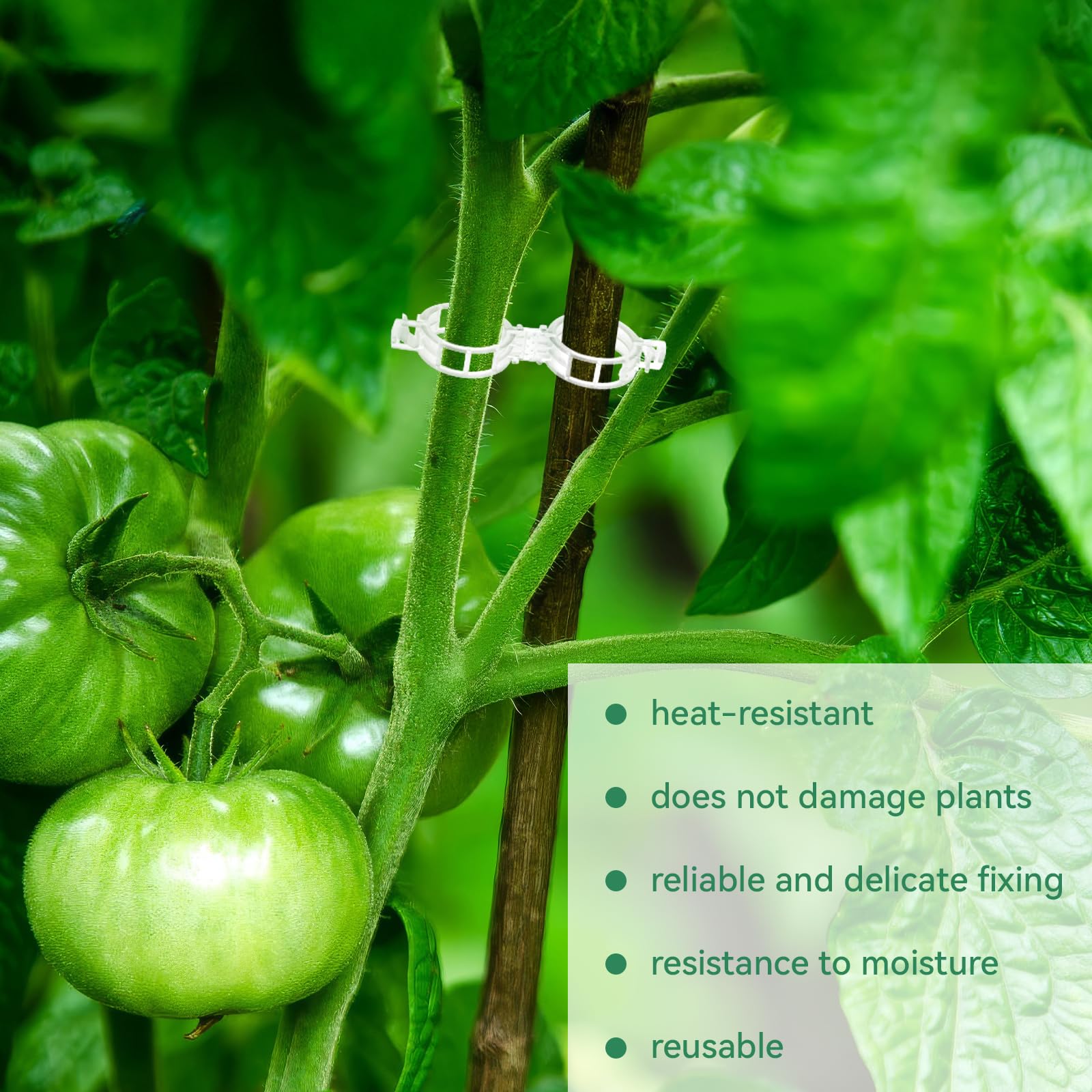 PEASUG reusable plant clips reduce stem breakage and promote healthy growth.