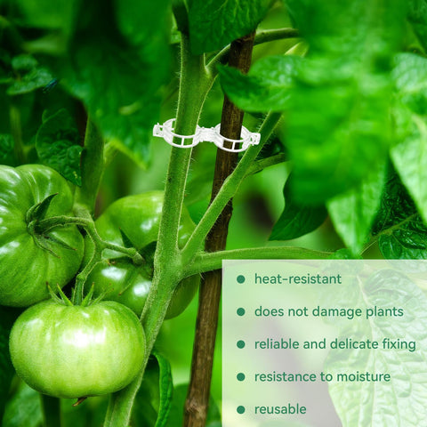 PEASUG reusable plant clips reduce stem breakage and promote healthy growth.