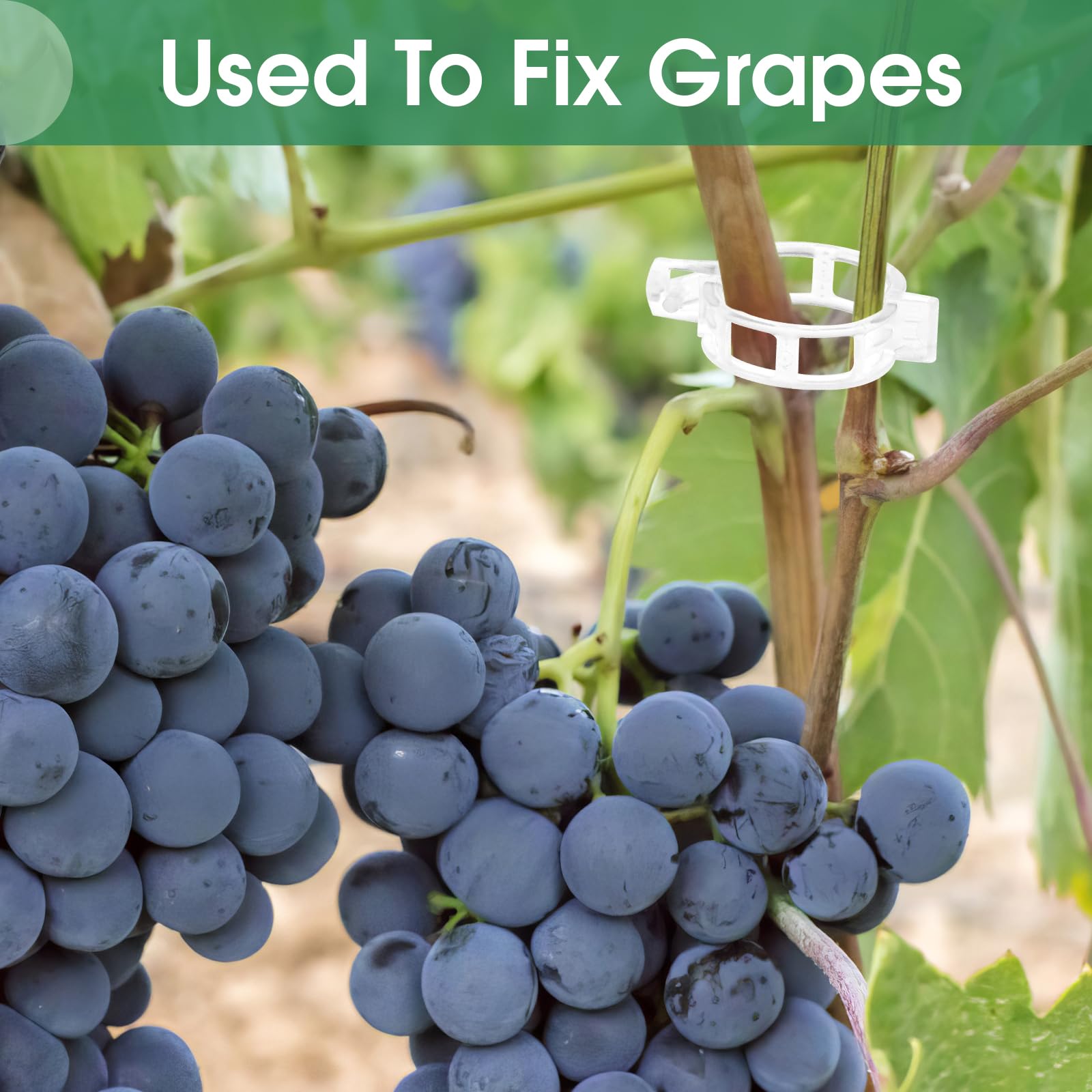 PEASUG tomato grape clips versatile for securing fruits and vines.